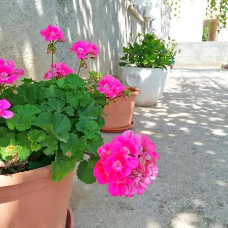 Holiday Blue Dream Apartman Putniković