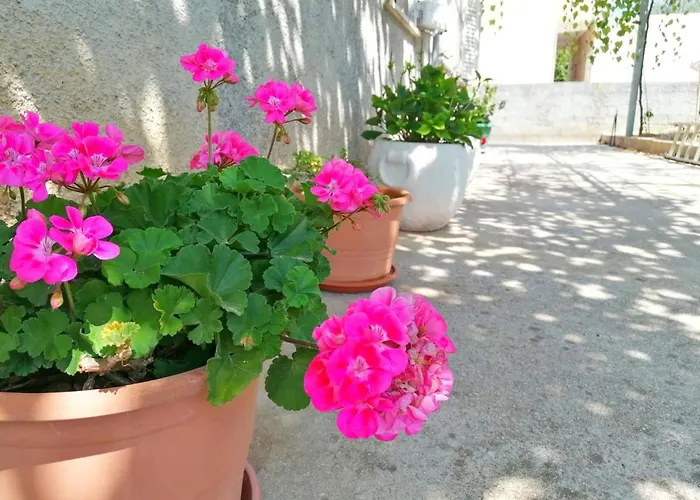 Blue Dream شقة Putniković