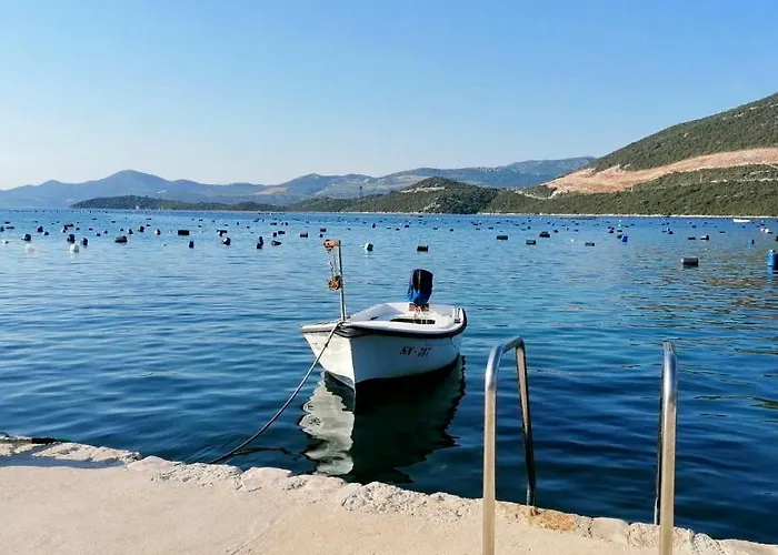 Blue Dream Putniković